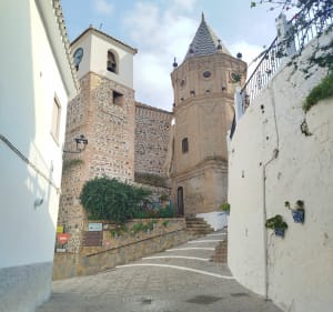 El Borge - Cutar - El Borge - 3