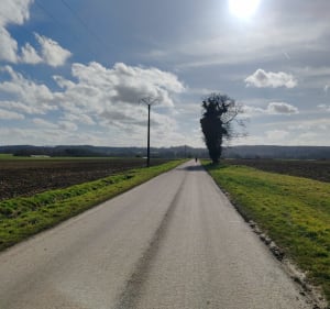 Forêt de Retz au départ de La Ferté-Milon - La Ferté-Milon - 4