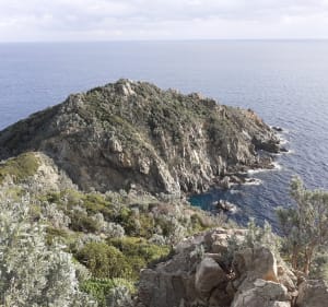 Le cap Lardier à Gigaro La Croix Valmer - La Croix-Valmer - 4