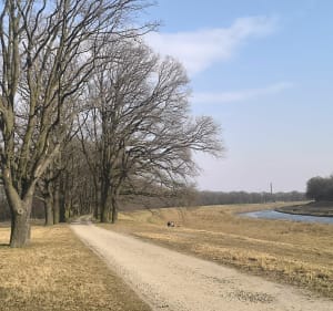 Nad Odrą - Wrocław - 4