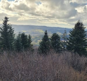 Les 3 monts ️️de Claveisolles - Claveisolles - 5
