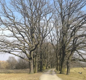 Nad Odrą - Wrocław - 5