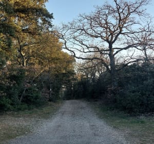 Promenade à Grignan - Grignan - 4
