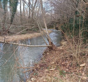Promenade  entre campagne et village de cours et buis - Montseveroux - 4