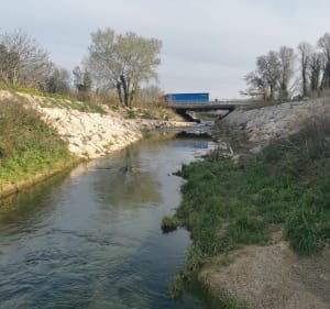 Petite balade autour des berges du Vistre depuis Lamour - Nîmes - 5