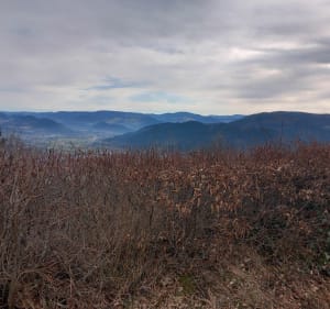 Le Saint Mont, Pierre Kerlinquin, roche du Thin - Saint-Étienne-lès-Remiremont - 5