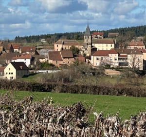 Bois Sainte Marie - Gibles - 3