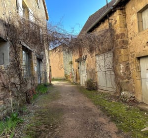 Bois Sainte Marie - Gibles - 4