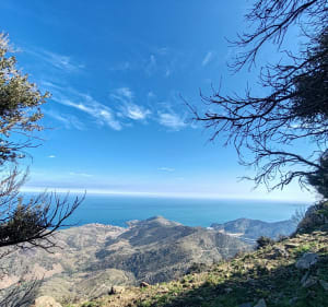 Tour de Querroig - Banyuls-sur-Mer - 4
