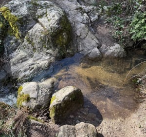Rand des salamandres - Saint-Péray - 4