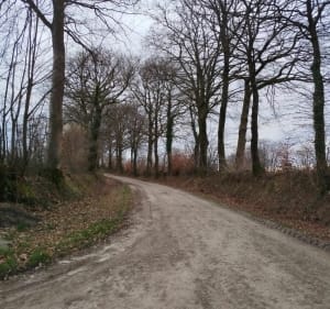 Boucle de Taillis de la Grue - La Ferrière-aux-Étangs - 3