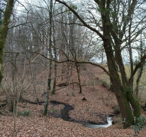 Boucle de Taillis de la Grue - La Ferrière-aux-Étangs - 5