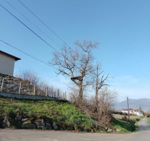 Les balcons du Marjon - Soucieu-en-Jarrest - 3