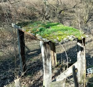 Les balcons du Marjon - Soucieu-en-Jarrest - 5