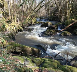 Boucle du Trou de Philippou et Gorges de la Dronne - Saint-Saud-Lacoussière - 4