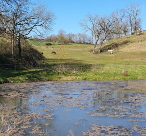 Les 6 lavoirs et 1001 ruisseaux - Auge - 5