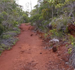 Sentier des bagnards - Le Mont-Dore - 2
