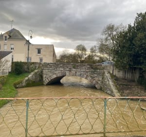 Boucle en campagne depuis lac de Vioreau - Joué-sur-Erdre - 3