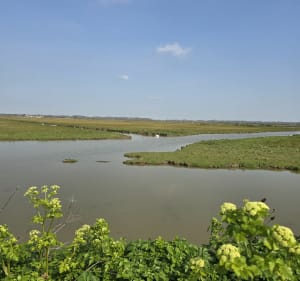 Balade le long de la Charente, par Basse Roche - Saint-Laurent-de-la-Prée - 3