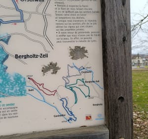 Sentier des carrières - Orschwihr - 4