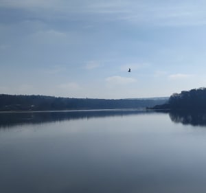 Lac de Bouzey - Chaumousey - 4