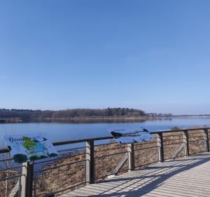 Lac de Bouzey - Chaumousey - 5
