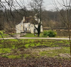Forêt et Étang Godart depuis Eaubonne - Eaubonne - 4