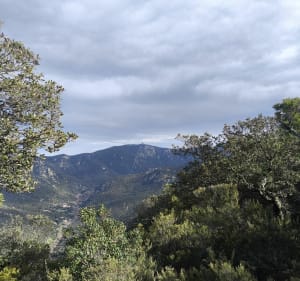 Vallée Heureuse au château d'Ultrera et Col de les Medes - Sorède - 4