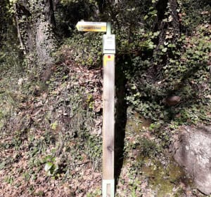 Randonnée de La Pigne, par Col St-Arnoux à Seillans - Seillans - 5
