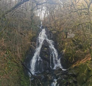 Liginiac, Sentier du Milan par Chaux - Liginiac - 3