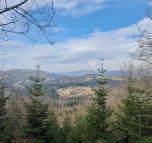 Rysianka - Żabnica - 3