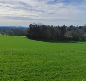 Boucle par le château de Fayol - Allemans - 5