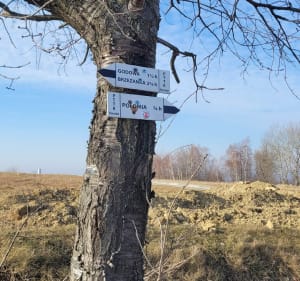 Kopalnia Żarnowa i Kolo - Żarnowa - 3