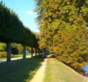 Jardin de l’île / Rivière de la Marne - La Ferté-sous-Jouarre - 3