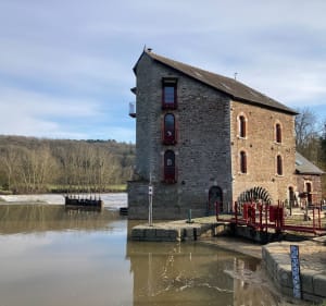 Le long de la Vilaine - Guichen - 3