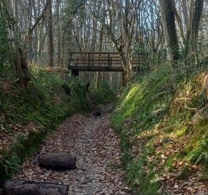 Le domaine des Hogues - Yport - 3