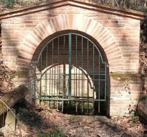 Balade dans les bois Labège Saint Orens - Saint-Orens-de-Gameville - 5
