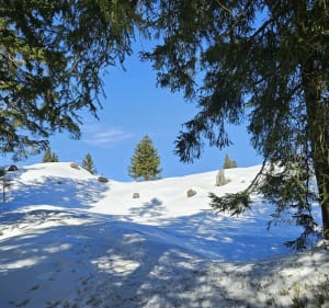 Marche entre Arêches et le lac du Clou - Beaufort - 3
