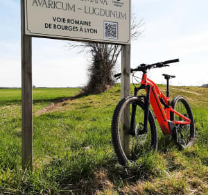 Boucle 30km  Vornay à la découverte du patrimoine - Vornay - 5