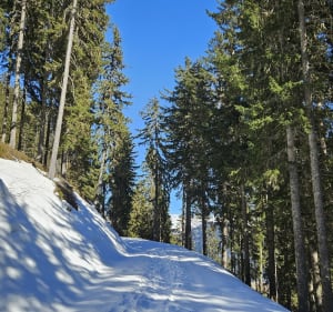 Marche entre Arêches et le lac du Clou - Beaufort - 4