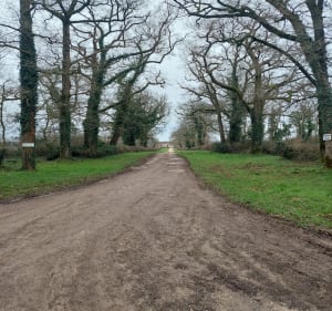 Boucle La Lutine, par l'Orbrie - Fontenay-le-Comte - 3