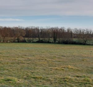 Dans les bois de Soumaintrain - Soumaintrain - 3