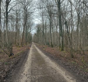 Boucle du Gros Fayant par le lac noir - Rivières - 3