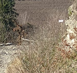 Balade dans les bois de la colline de Pont-de-Claix vers Varces - Le Pont-de-Claix - 4