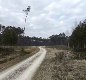 Zespół przyrodniczo krajobrazowy Dobroń - Terenin - 4