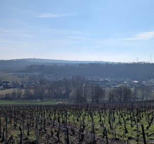 Magnifique balade sur Janvry - Germigny - 4