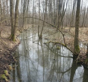 Stare Krasnodęby - Stary Adamów" - Stare Krasnodęby - 3