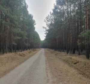 Stare Krasnodęby - Stary Adamów" - Stare Krasnodęby - 5