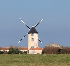 Rando des Bouchauds - Sallertaine - 3