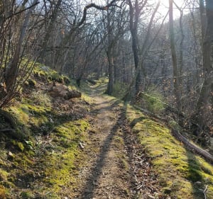 Plateau au dessus de Serves-sur-Rhône - Delphine - 3